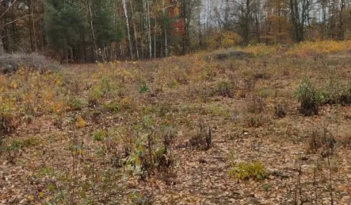 Działka budowlana Malcanów