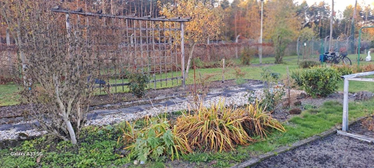 Działka rod Zawadzkie, ul. Ogrodowa. Zdjęcie 7