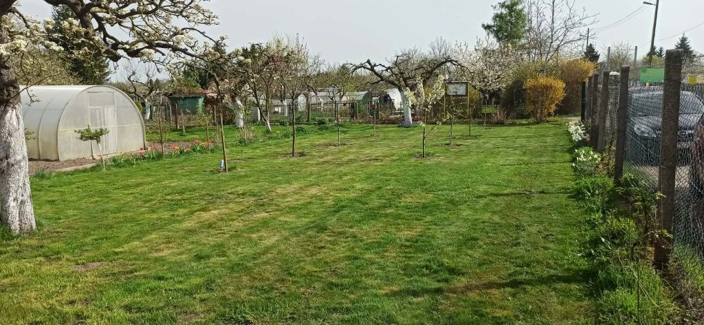 Działka rod Stargard, ul. Spokojna. Zdjęcie 5