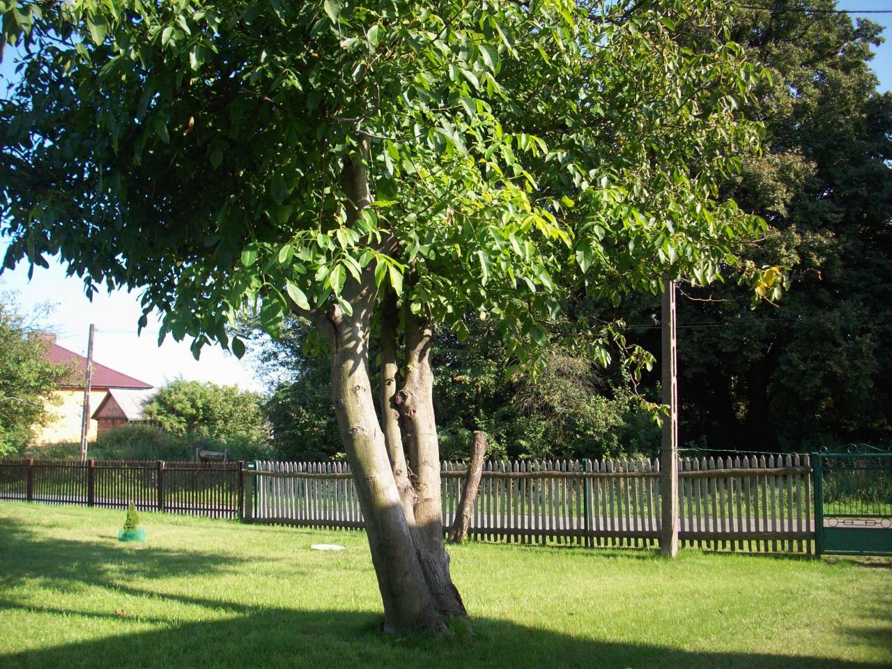 dom wolnostojący, 2 pokoje Sienno, ul. Słoneczna. Zdjęcie 2