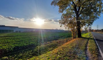 Działka inwestycyjna Bieruń, ul. Oświęcimska