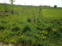 Działka rolno-budowlana Paprotnia. Zdjęcie 3