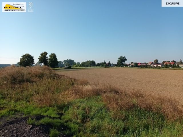 Działka budowlana Chabowo. Zdjęcie 8