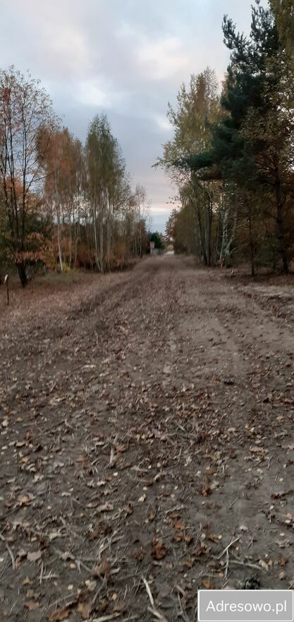 Działka budowlana Dobrzyń. Zdjęcie 4