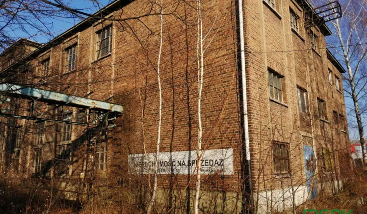 Działka inna Wodzisław Śląski Wilchwy, ul. Leonida Teligi