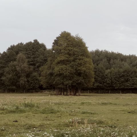 Ośrodek wczasowy Olszynki. Zdjęcie 15