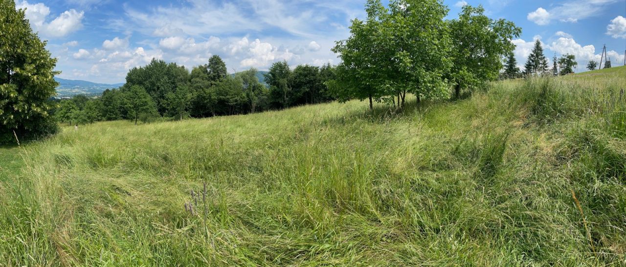 Działka budowlana Lipowe. Zdjęcie 2