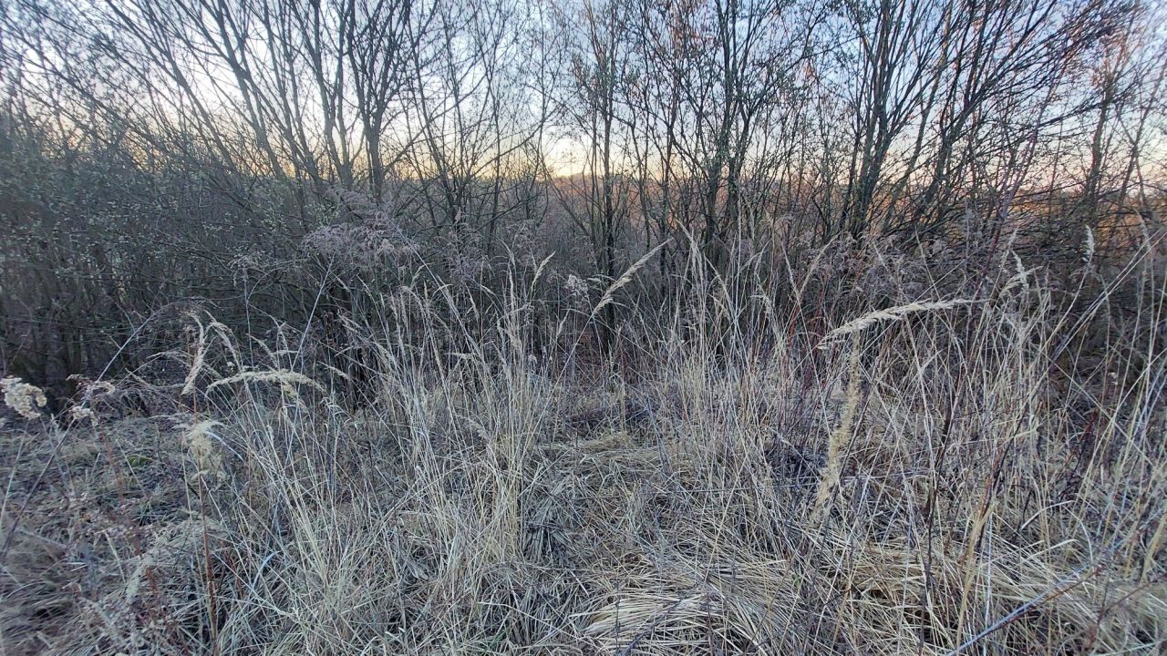 Działka rolna Kraków Łagiewniki, ul. Krzemieniecka. Zdjęcie 2