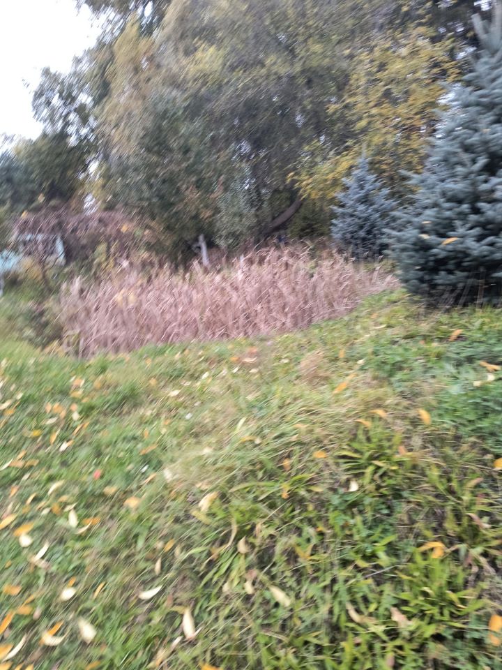 dom wolnostojący, 11 pokoi Kotla, ul. Głogowska. Zdjęcie 6