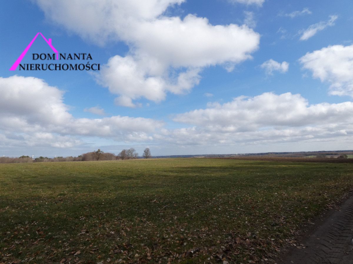 Działka budowlana Zdrada, ul. Leśna. Zdjęcie 4