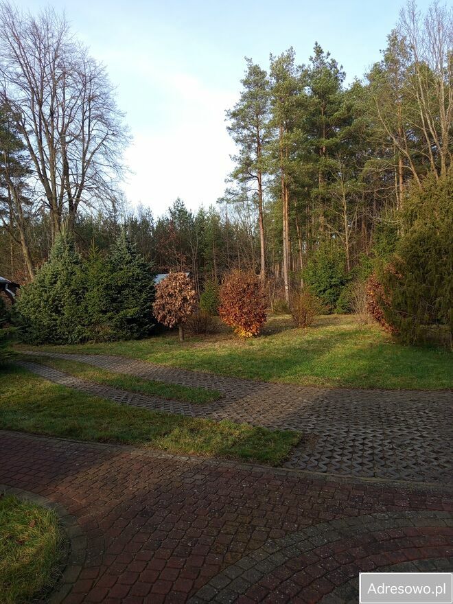 dom wolnostojący, 4 pokoje Płozy. Zdjęcie 12