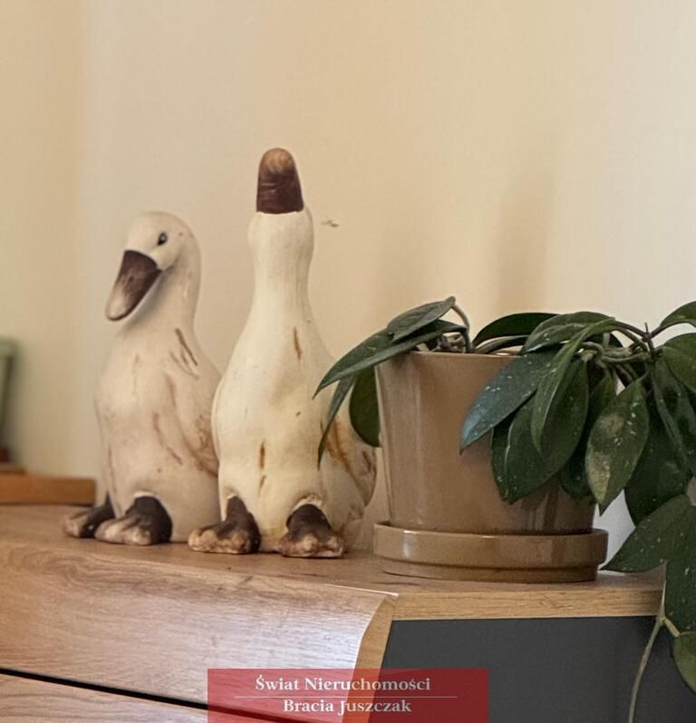 Mieszkanie 2-pokojowe Wrocław Śródmieście, ul. Biskupia. Zdjęcie 19