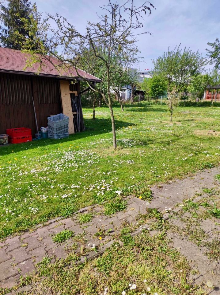 Działka rod Gliwice Trynek, ul. Liliowa. Zdjęcie 8