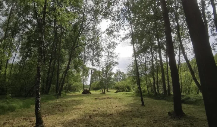 Działka leśna Wolica Piaskowa Malinówka, Malinowa