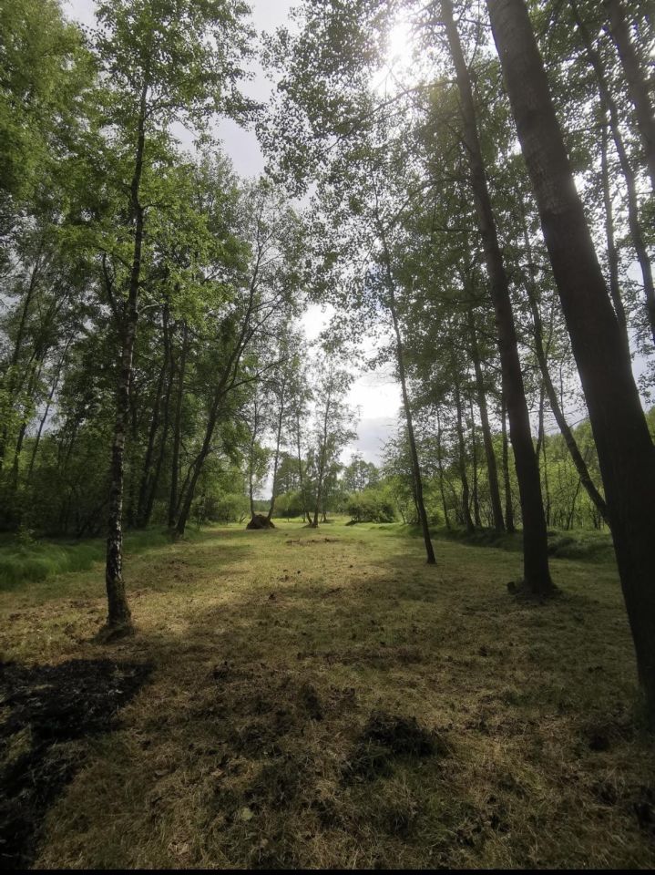 Działka leśna Sędziszów Małopolski Wolica Piaskowa, ul. Malinowa. Zdjęcie 1