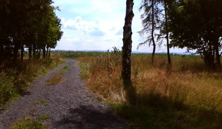 Działka budowlana Bartoszówka