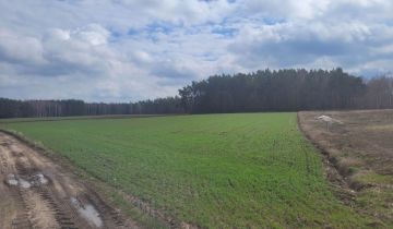 Działka rolno-budowlana Rojewo