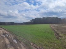 Działka rolno-budowlana Rojewo