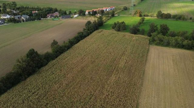 Działka inwestycyjna Krzyżowice, ul. Ogrodowa. Zdjęcie 1