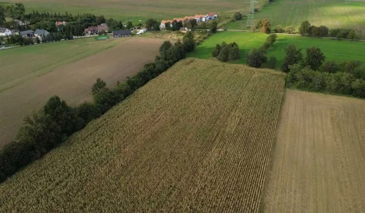 Działka inwestycyjna Krzyżowice, ul. Ogrodowa