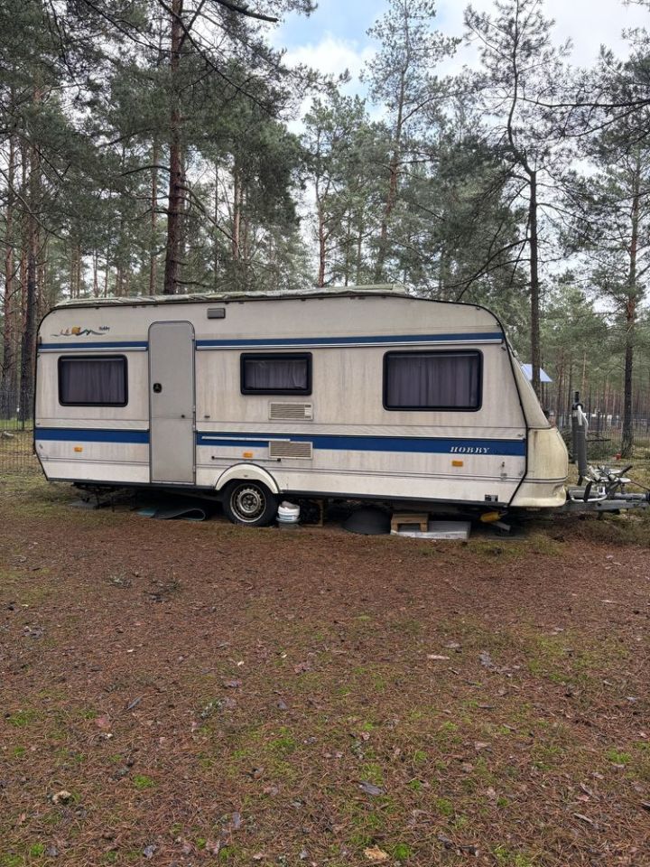 Działka leśna Borsk. Zdjęcie 5