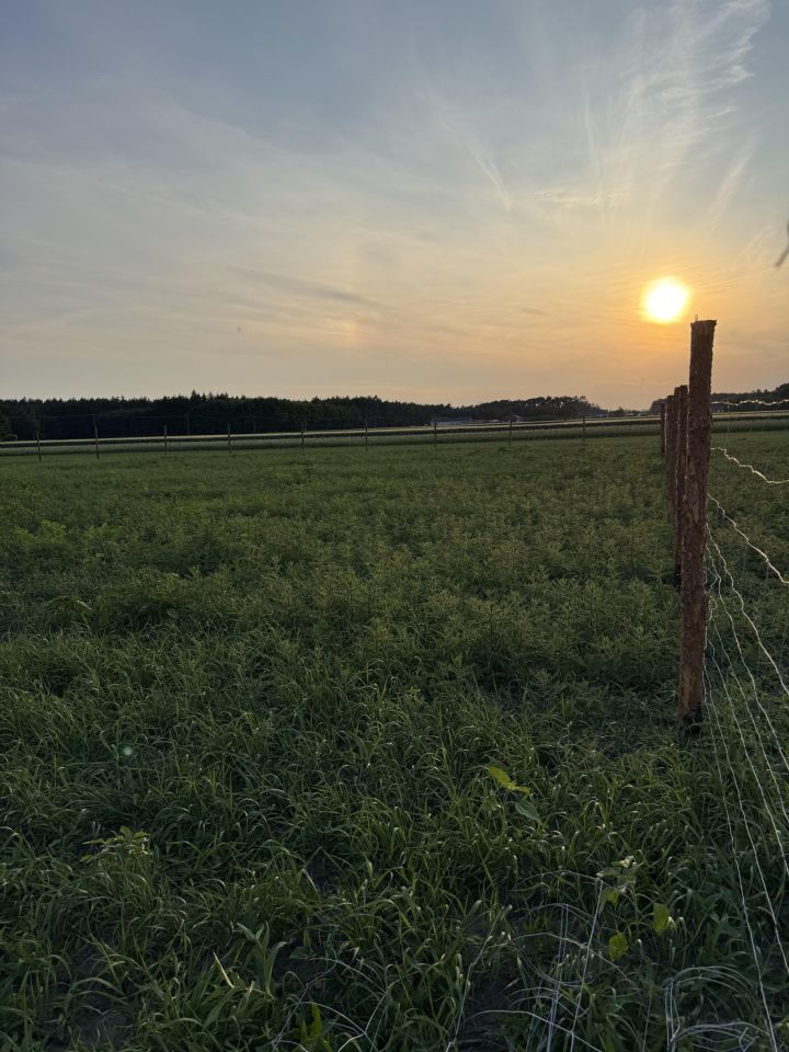 Działka budowlana Łagiewniki. Zdjęcie 2