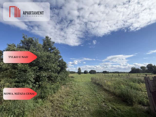dom wolnostojący, 4 pokoje Bnin. Zdjęcie 9