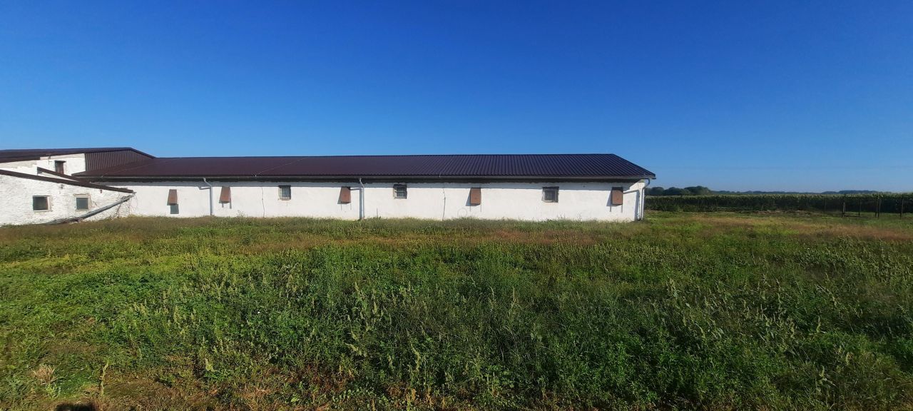 Nieruchomość komercyjna Branice, ul. Bolesława Prusa. Zdjęcie 7