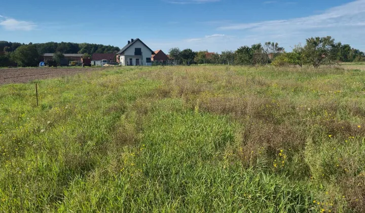 Działka budowlana Szczaniec