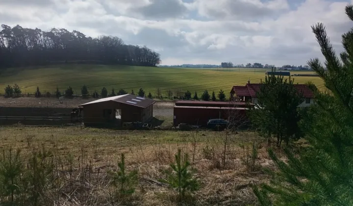 Działka budowlana Żabno