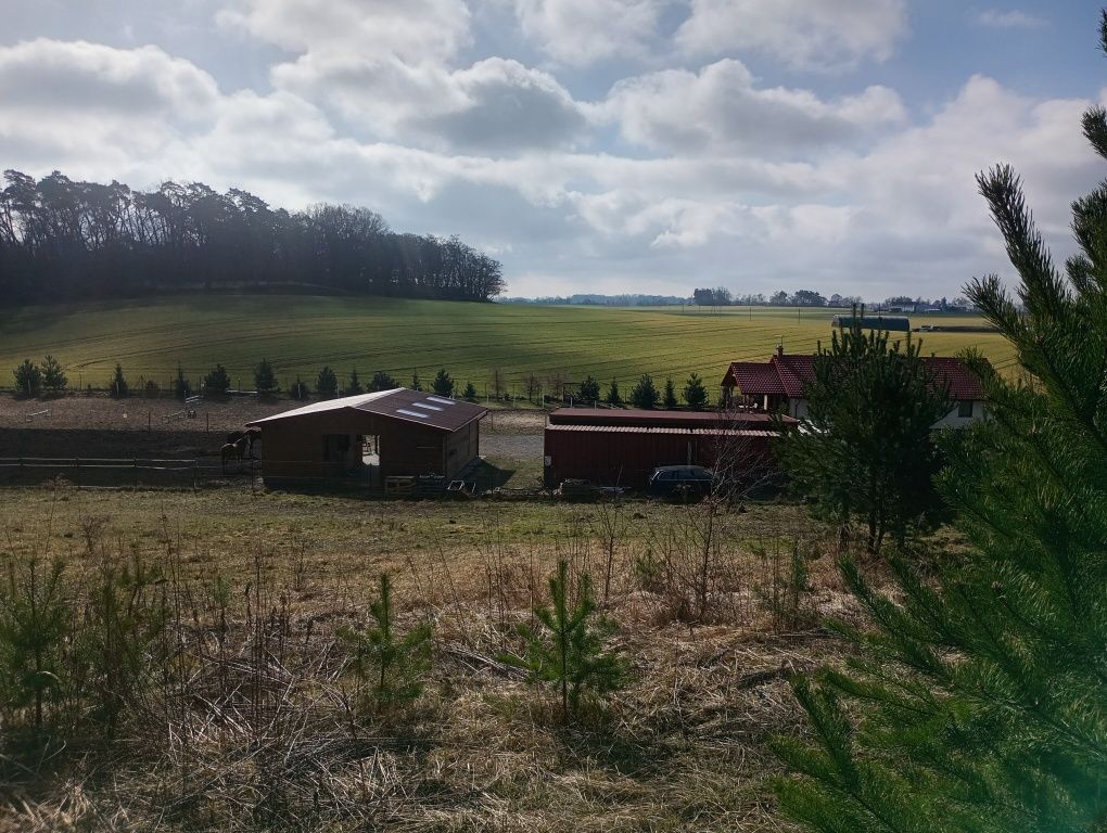 Działka budowlana Żabno. Zdjęcie 1