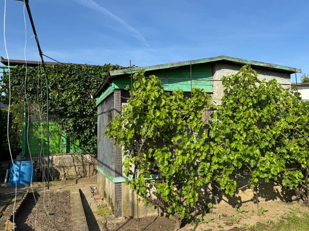 Działka rod Gniezno, ul. Biskupińska. Zdjęcie 1