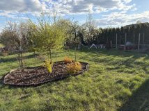 Działka rod Mława. Zdjęcie 1