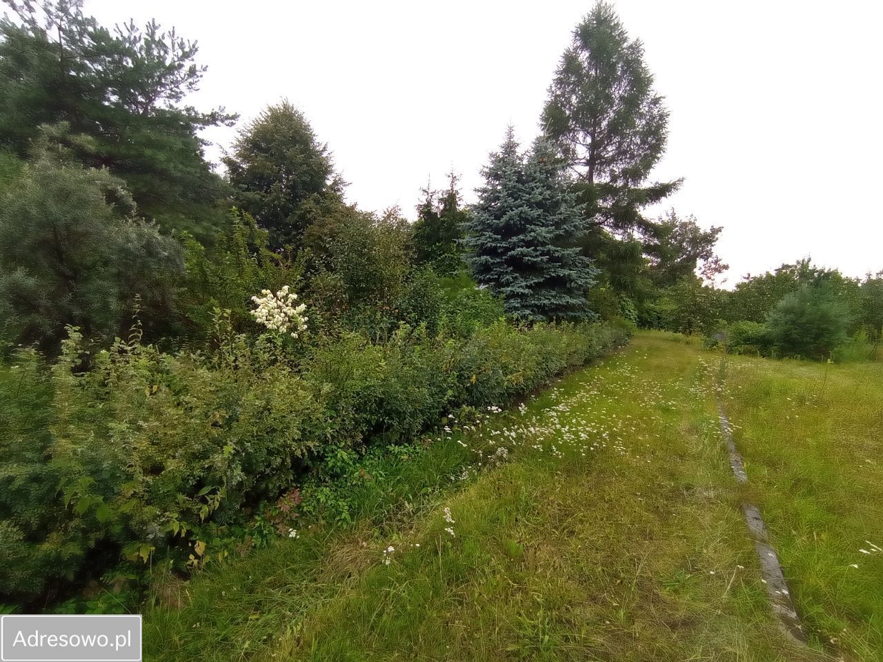 Działka inwestycyjna Wistka Królewska. Zdjęcie 2