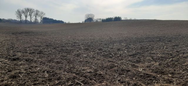 Działka rolna Kątno. Zdjęcie 1