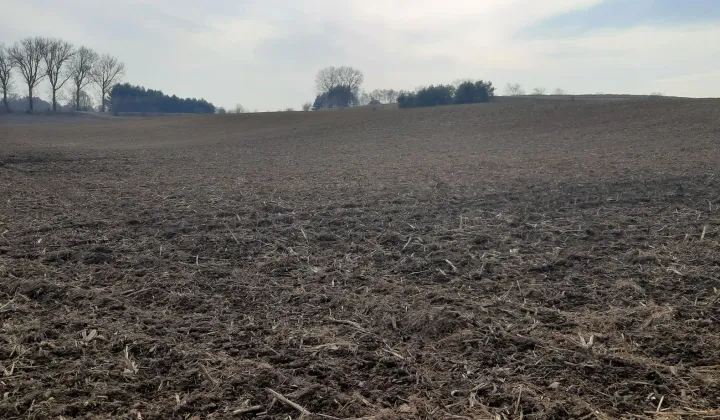 Działka rolna Kątno