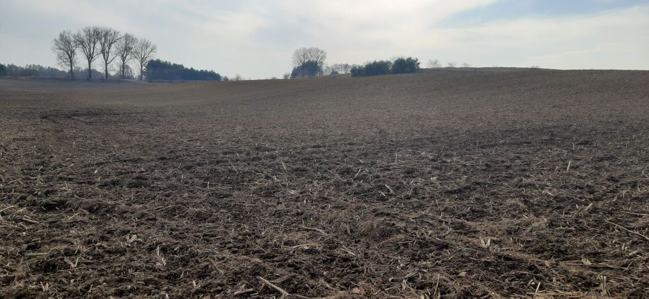 Działka rolna Kątno. Zdjęcie 1
