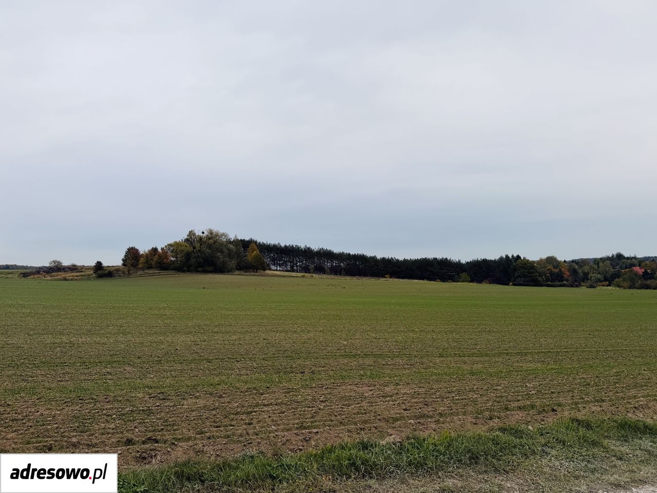 Działka budowlana Nowe Skoszewy. Zdjęcie 6