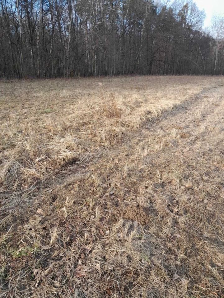 Działka budowlana Siepraw. Zdjęcie 4