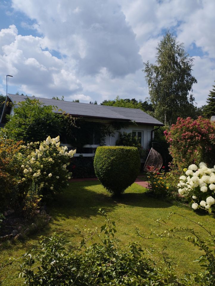 Działka rod Pawlikowice. Zdjęcie 3