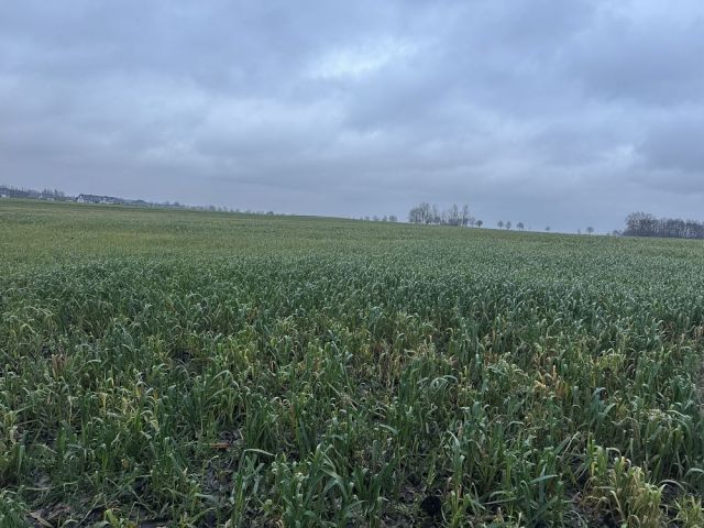 Działka budowlana Śmieszkowo. Zdjęcie 1