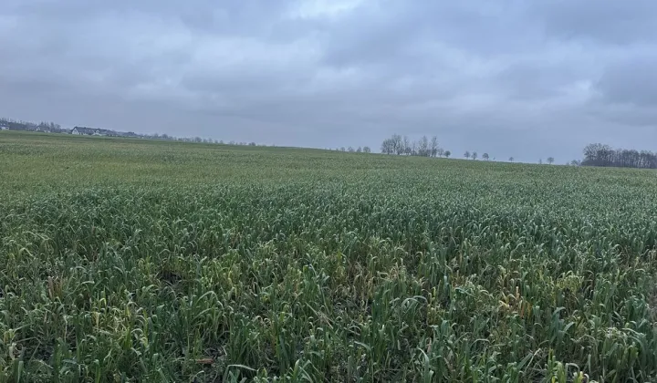 Działka budowlana Śmieszkowo