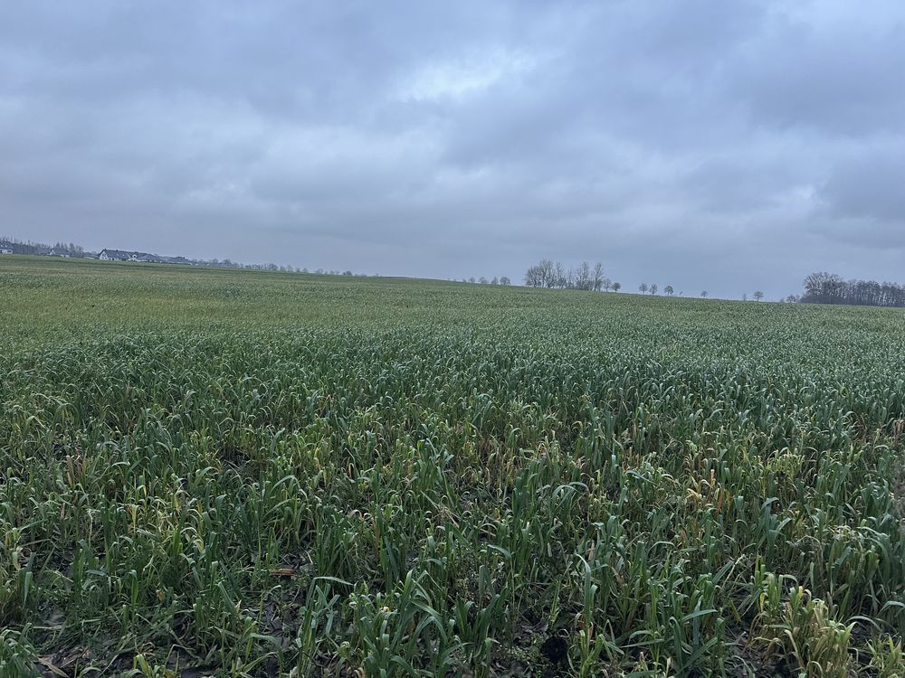 Działka budowlana Śmieszkowo