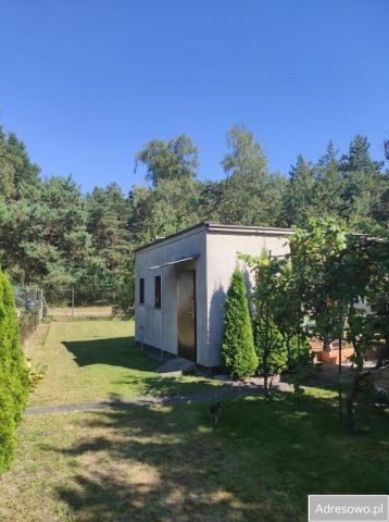 Działka rod Konin, ul. Świętojańska. Zdjęcie 1