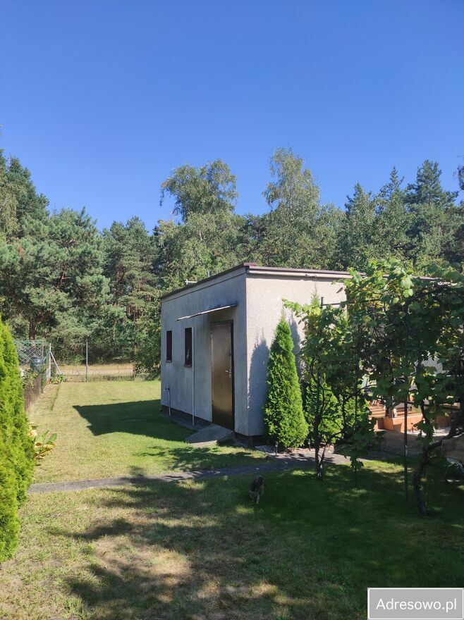 Działka rod Konin, ul. Świętojańska. Zdjęcie 1