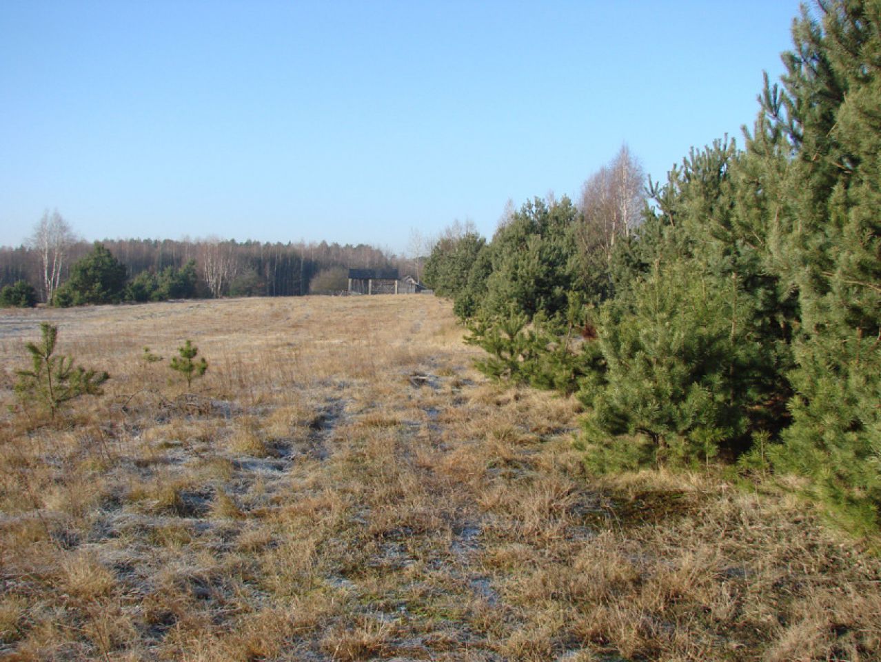 Działka rolno-budowlana Rędziny. Zdjęcie 6