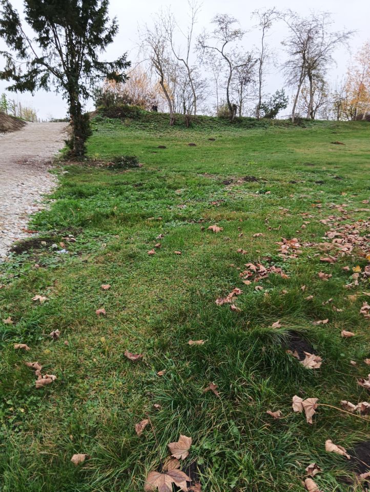 Działka rolno-budowlana Bobolin. Zdjęcie 4