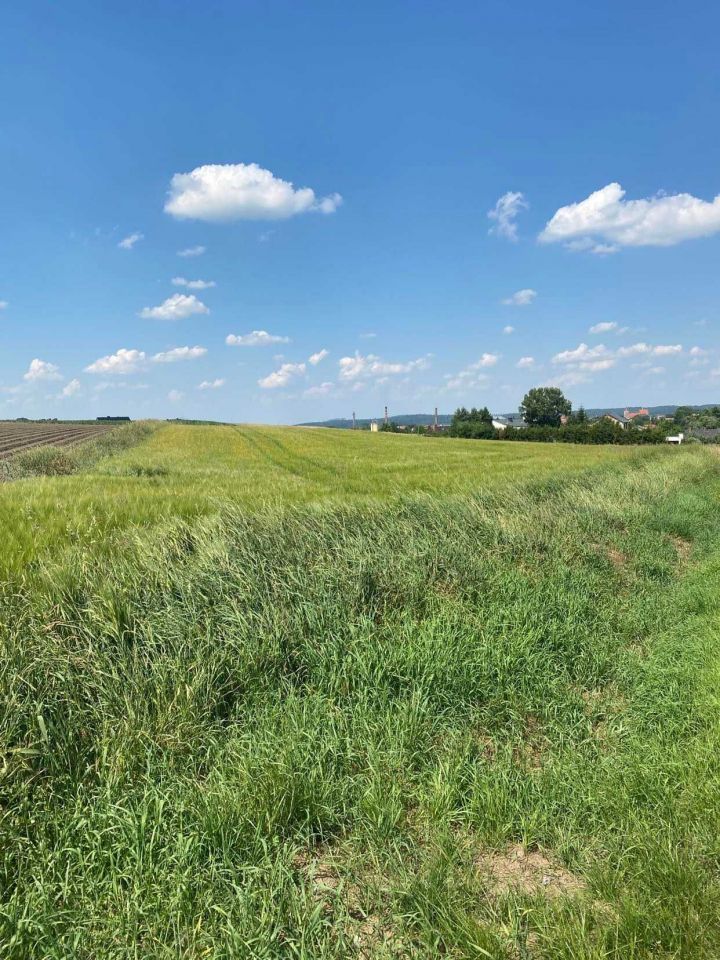 Działka budowlana Ziębice Nieszków. Zdjęcie 5