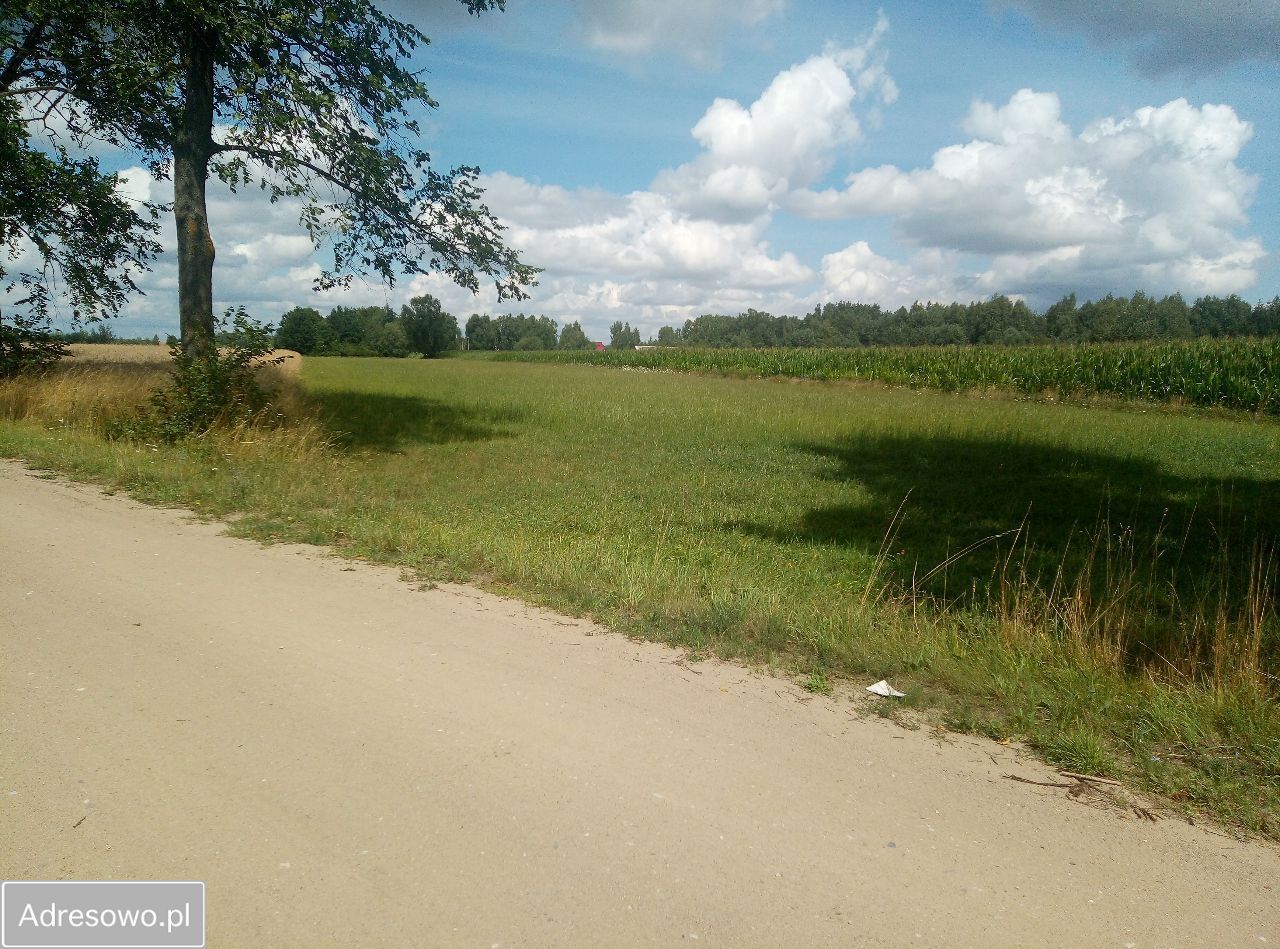 Działka rolna Stara Trzcianka. Zdjęcie 9