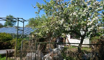 Działka rod Kołobrzeg, ul. 6 Dywizji Piechoty